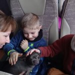 phoca_thumb_m_lye zvody 1 Fotogalerie